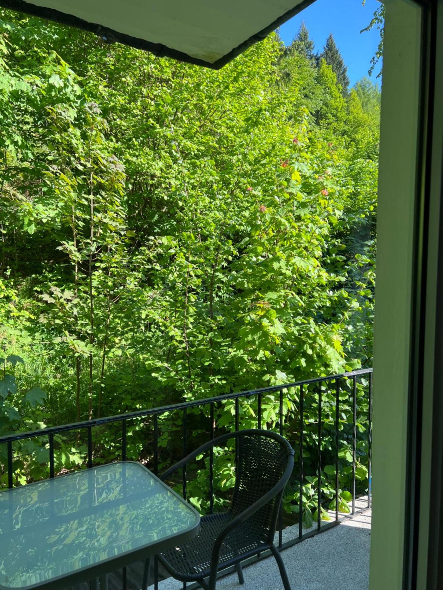 Pension Villa Pangea Bad Lauterberg Exterior foto